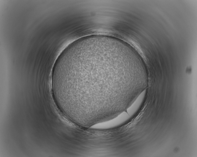 X0000096690891200802261537