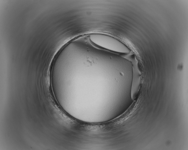 X0000096690892200802261537