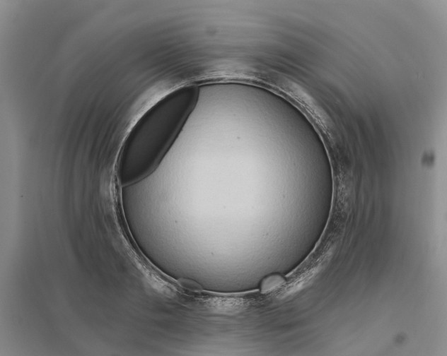 X0000096690893200802261537