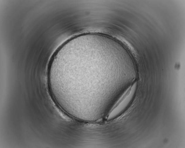 X0000096690894200802261537