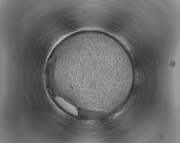 X0000096690895200802261537