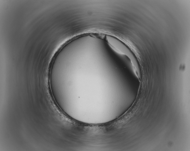 X0000096690896200802261537