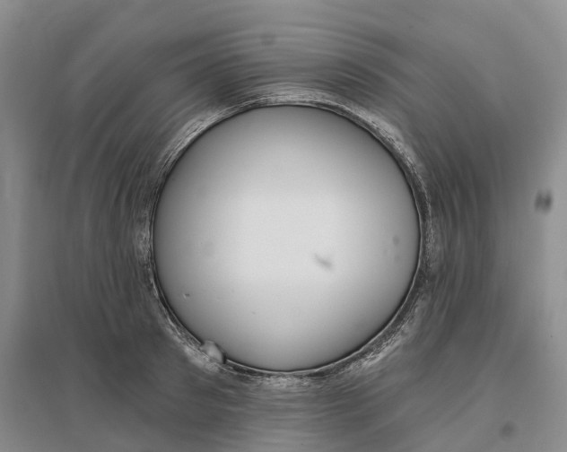 X0000096690897200802261537