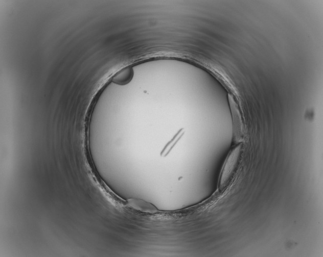 X0000096690898200802261537