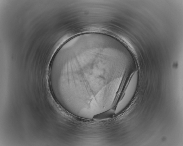 X0000096690899200802261537