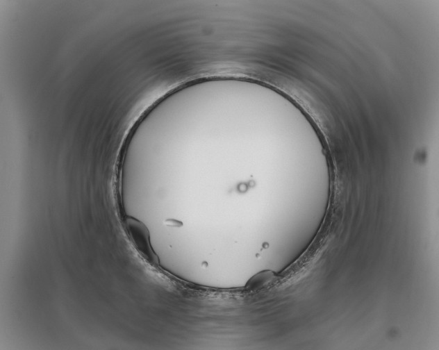 X0000096690901200802261537