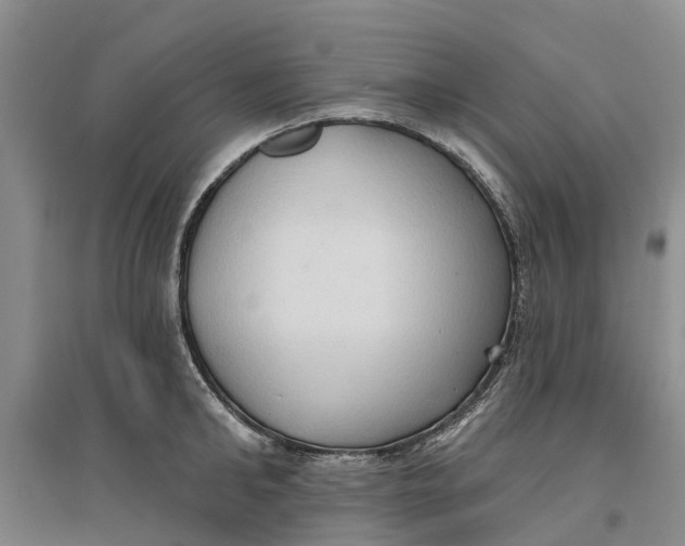 X0000096690902200802261537