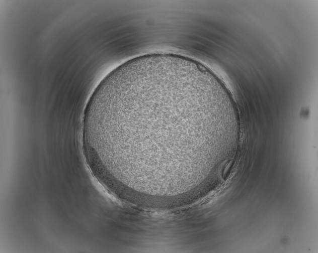 X0000096690903200802261537