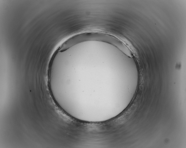 X0000096690904200802261537