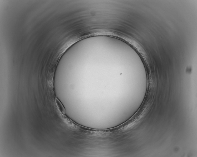 X0000096690905200802261537