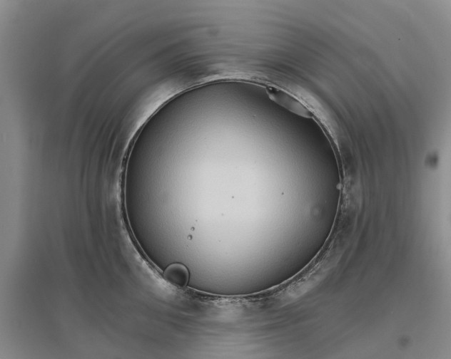 X0000096690906200802261537