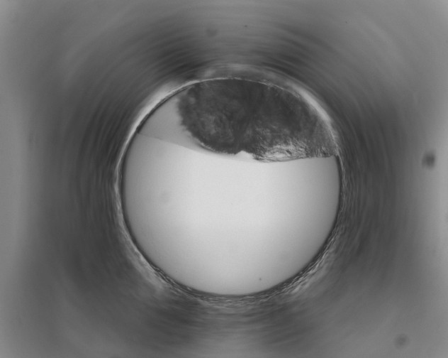 X0000096690907200802261537