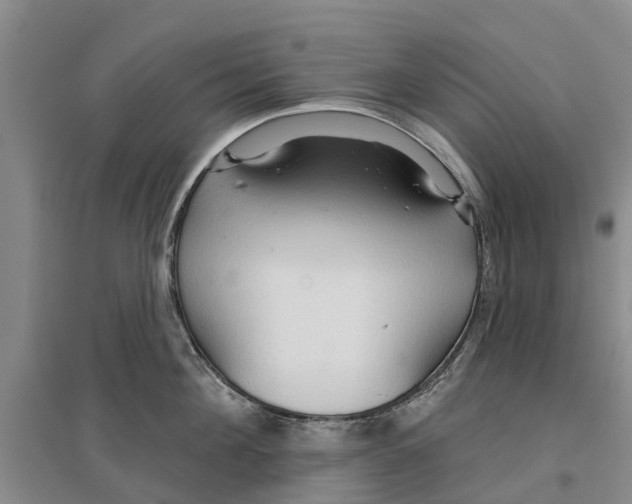 X0000096690908200802261537