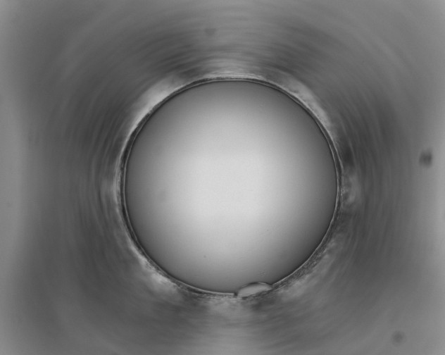 X0000096690909200802261537