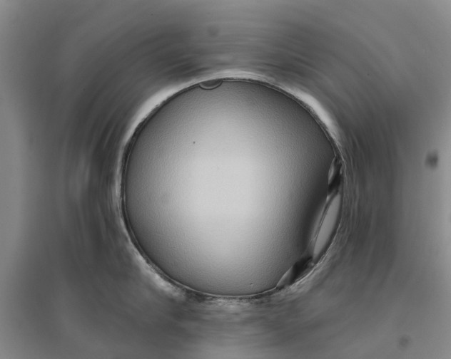 X0000096690910200802261537