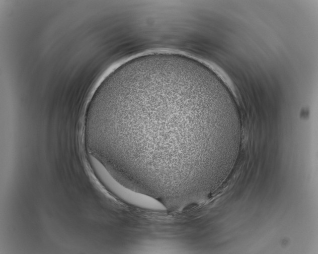 X0000096690911200802261537