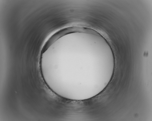 X0000096690912200802261537