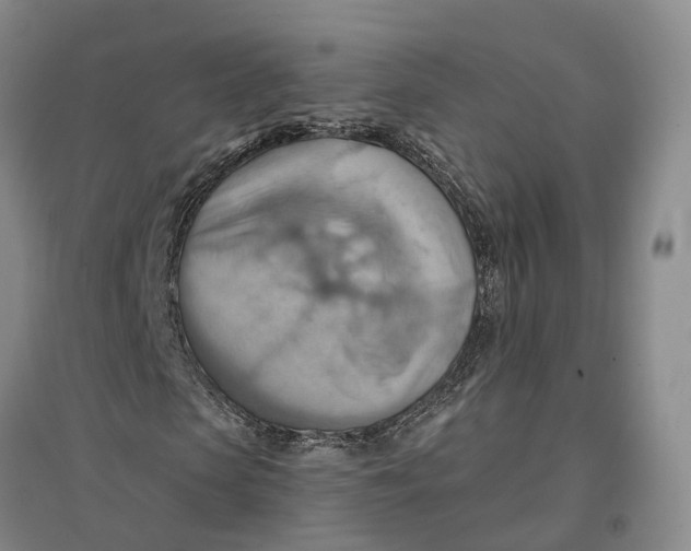 X0000096690913200802261536