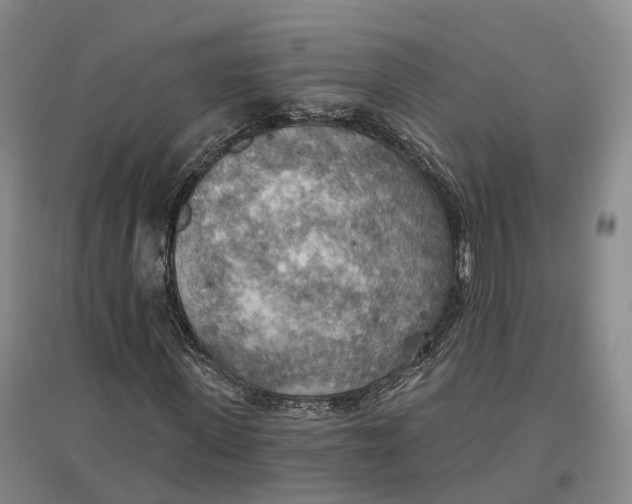 X0000096690915200802261536