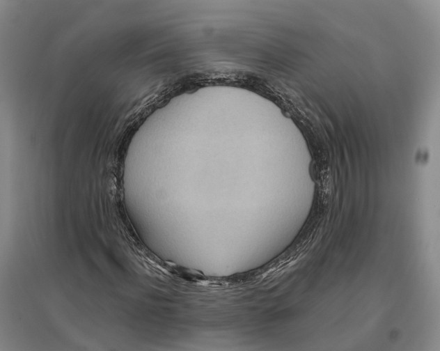 X0000096690916200802261536