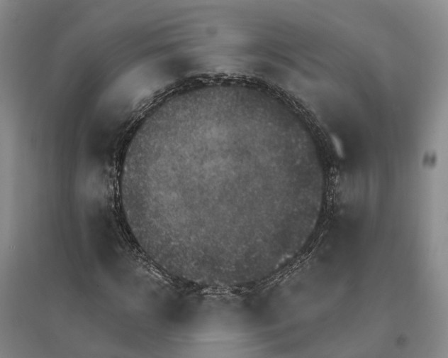 X0000096690918200802261536