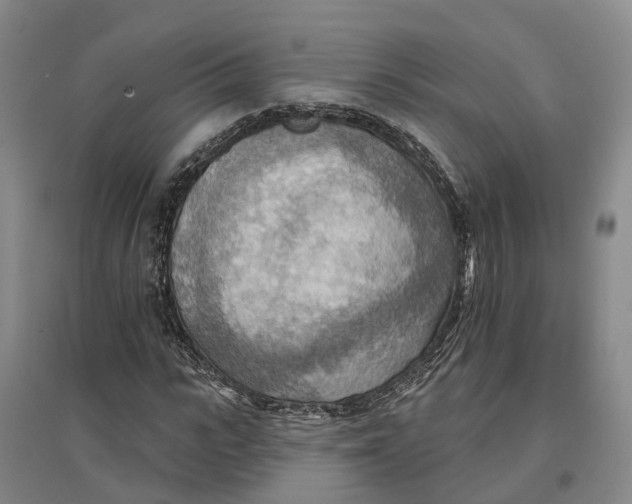 X0000096690919200802261536