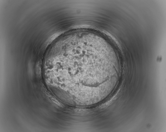 X0000096690921200802261536