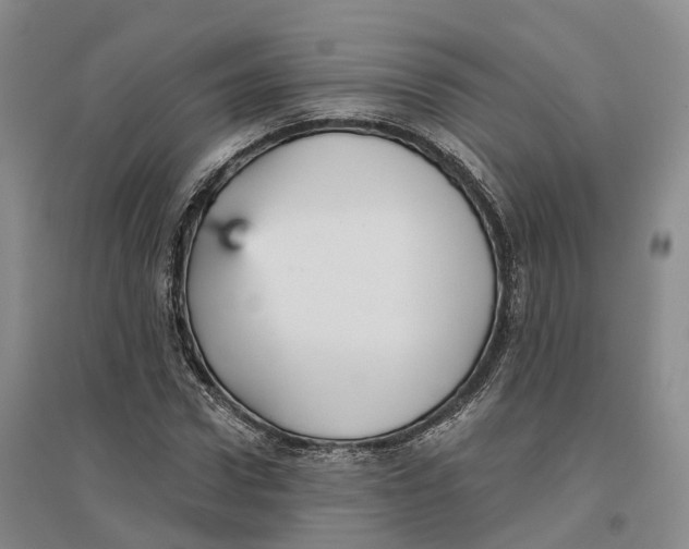 X0000096690922200802261536