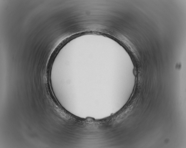 X0000096690924200802261536