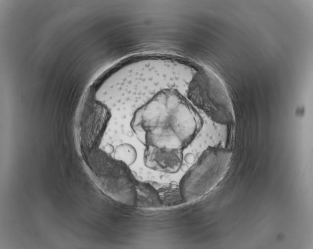 X0000096690925200802261536