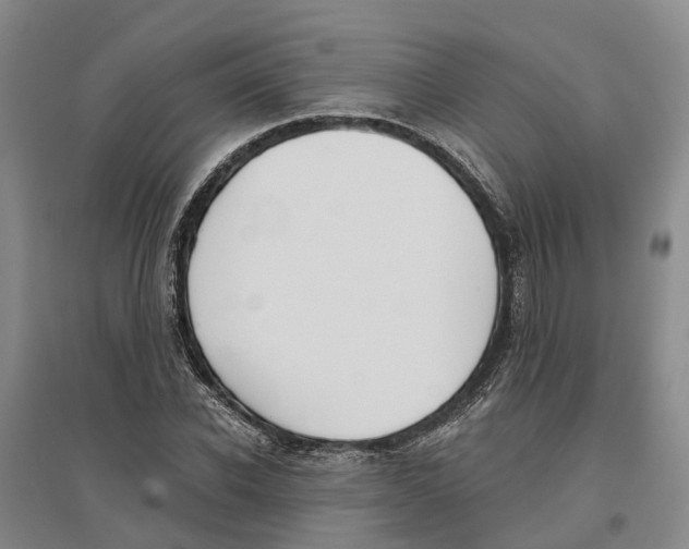 X0000096690926200802261536