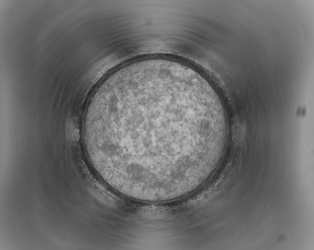 X0000096690929200802261536