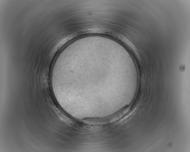 X0000096690930200802261536