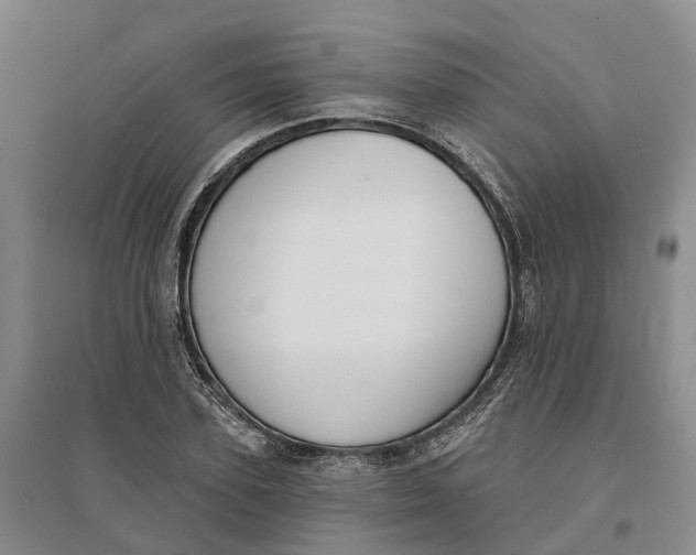 X0000096690931200802261536