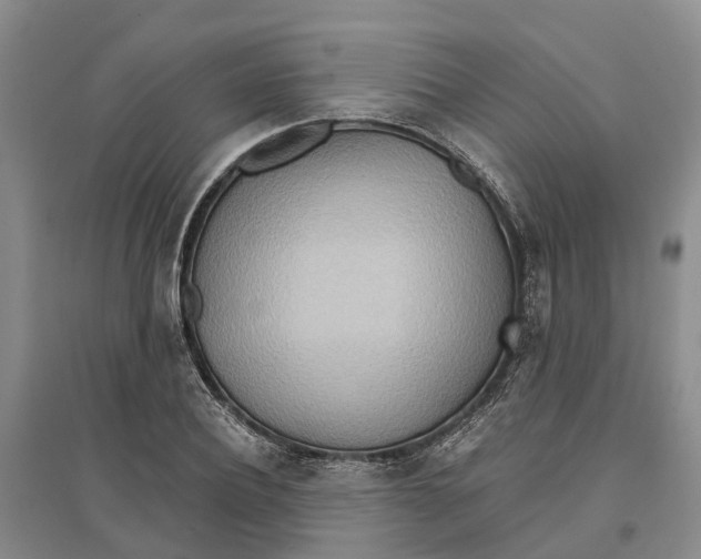 X0000096690932200802261536