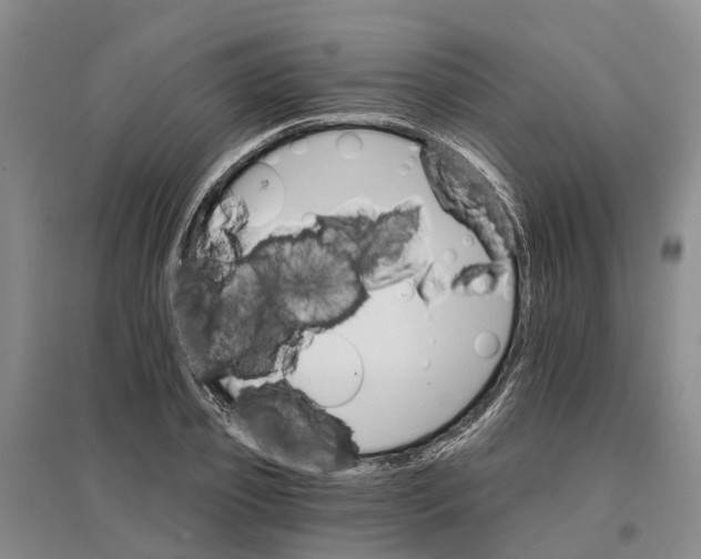 X0000096690933200802261536