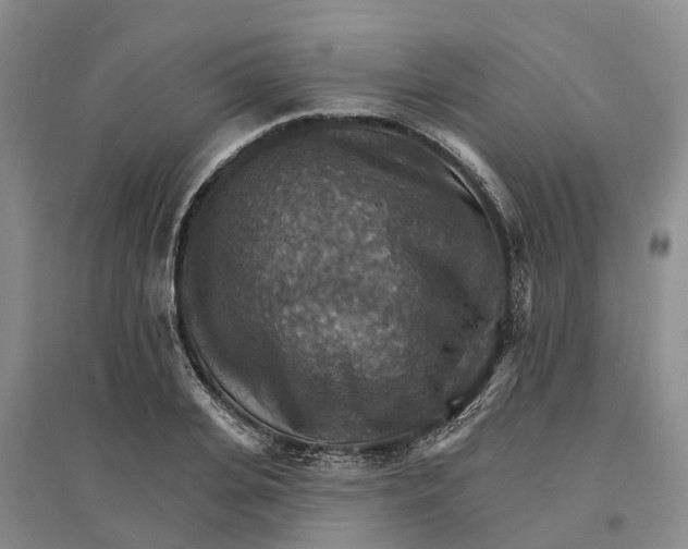 X0000096690935200802261537