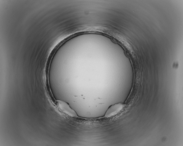 X0000096690936200802261537