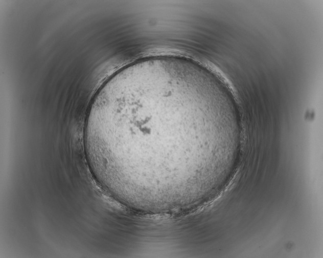 X0000096690937200802261537