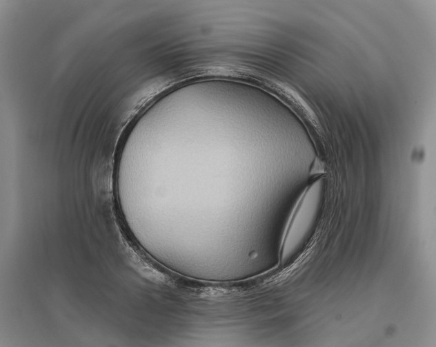 X0000096690938200802261537