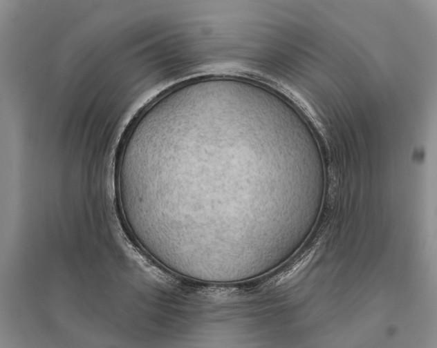 X0000096690939200802261537