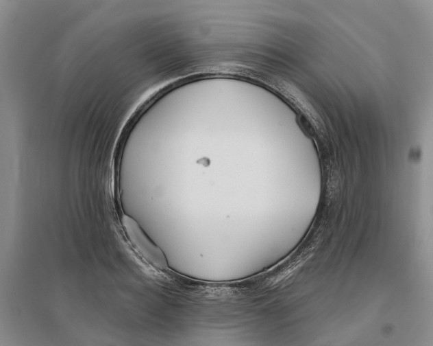 X0000096690940200802261537