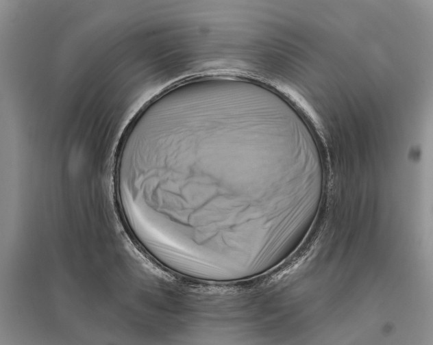 X0000096690941200802261537