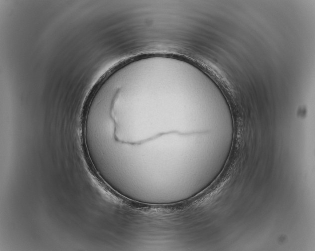 X0000096690942200802261537