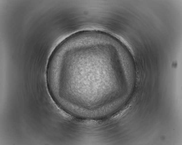 X0000096690943200802261537