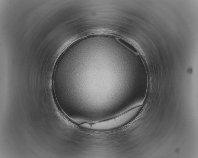 X0000096690946200802261537