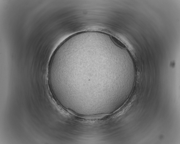 X0000096690948200802261537