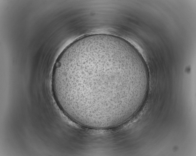 X0000096690949200802261537