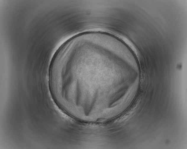 X0000096690951200802261537