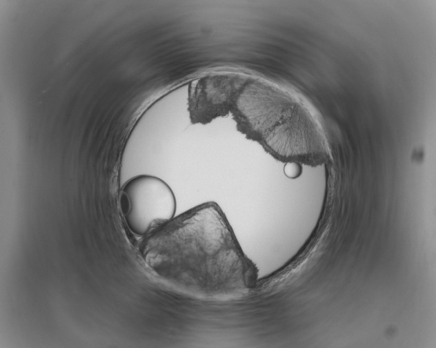 X0000096690953200802261537